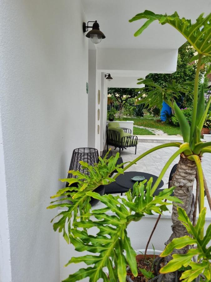 B&B Kamalei Тропея Экстерьер фото